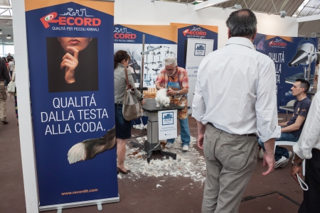 MILAN, ITALY - JUNE 8: People and dogs visit Quattrozampe in fiera exhibition, important event dedicated to dogs and their owners in Milan on JUNE 8, 2013.のeditorial素材