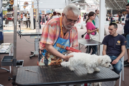 MILAN, ITALY - JUNE 8: People and dogs visit Quattrozampe in fiera exhibition, important event dedicated to dogs and their owners in Milan on JUNE 8, 2013.のeditorial素材