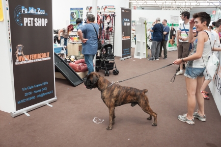 MILAN, ITALY - JUNE 8: People and dogs visit Quattrozampe in fiera exhibition, important event dedicated to dogs and their owners in Milan on JUNE 8, 2013.のeditorial素材