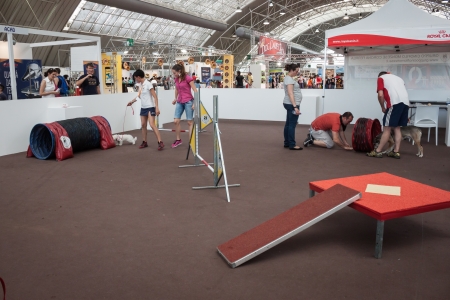 MILAN, ITALY - JUNE 8: People and dogs visit Quattrozampe in fiera exhibition, important event dedicated to dogs and their owners in Milan on JUNE 8, 2013.のeditorial素材