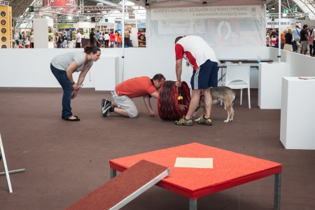 MILAN, ITALY - JUNE 8: People and dogs visit Quattrozampe in fiera exhibition, important event dedicated to dogs and their owners in Milan on JUNE 8, 2013.のeditorial素材