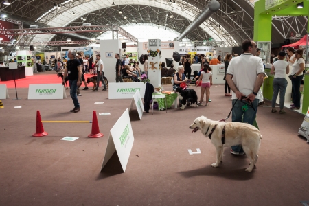 MILAN, ITALY - JUNE 8: People and dogs visit Quattrozampe in fiera exhibition, important event dedicated to dogs and their owners in Milan on JUNE 8, 2013.のeditorial素材