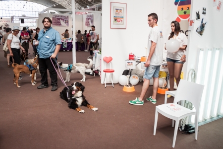 MILAN, ITALY - JUNE 8: People and dogs visit Quattrozampe in fiera exhibition, important event dedicated to dogs and their owners in Milan on JUNE 8, 2013.のeditorial素材
