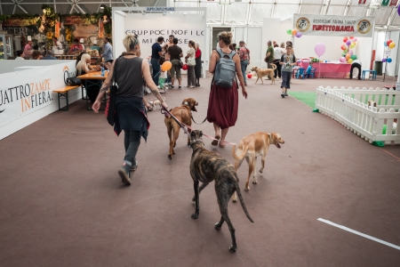 MILAN, ITALY - JUNE 8: People and dogs visit Quattrozampe in fiera exhibition, important event dedicated to dogs and their owners in Milan on JUNE 8, 2013.のeditorial素材
