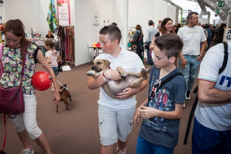 MILAN, ITALY - JUNE 8: People and dogs visit Quattrozampe in fiera exhibition, important event dedicated to dogs and their owners in Milan on JUNE 8, 2013.のeditorial素材