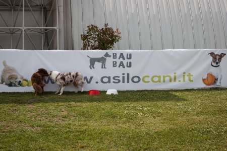 MILAN, ITALY - JUNE 8: People and dogs visit Quattrozampe in fiera exhibition, important event dedicated to dogs and their owners in Milan on JUNE 8, 2013.のeditorial素材