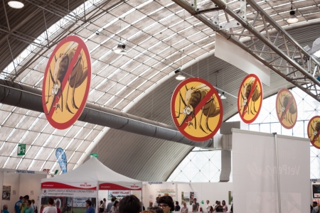 MILAN, ITALY - JUNE 8: People and dogs visit Quattrozampe in fiera exhibition, important event dedicated to dogs and their owners in Milan on JUNE 8, 2013.のeditorial素材