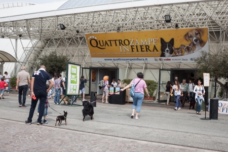 MILAN, ITALY - JUNE 8: People and dogs visit Quattrozampe in fiera exhibition, important event dedicated to dogs and their owners in Milan on JUNE 8, 2013.のeditorial素材