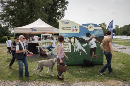 MILAN, ITALY - JUNE 8: People and dogs visit Quattrozampe in fiera exhibition, important event dedicated to dogs and their owners in Milan on JUNE 8, 2013.のeditorial素材