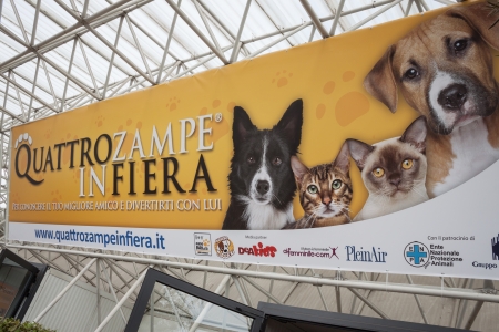 MILAN, ITALY - JUNE 8: People and dogs visit Quattrozampe in fiera exhibition, important event dedicated to dogs and their owners in Milan on JUNE 8, 2013.のeditorial素材