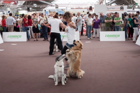 MILAN, ITALY - JUNE 8: People and dogs visit Quattrozampe in fiera exhibition, important event dedicated to dogs and their owners in Milan on JUNE 8, 2013.のeditorial素材