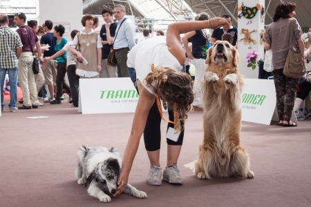 MILAN, ITALY - JUNE 8: People and dogs visit Quattrozampe in fiera exhibition, important event dedicated to dogs and their owners in Milan on JUNE 8, 2013.のeditorial素材