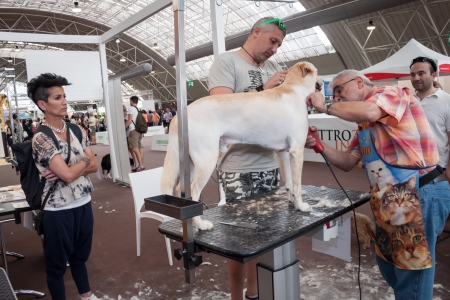 MILAN, ITALY - JUNE 8: People and dogs visit Quattrozampe in fiera exhibition, important event dedicated to dogs and their owners in Milan on JUNE 8, 2013.のeditorial素材