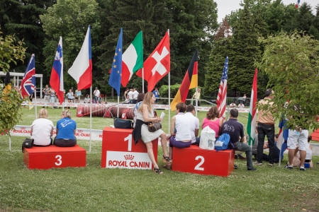 MILAN, ITALY - JUNE 8: People and dogs visit Quattrozampe in fiera exhibition, important event dedicated to dogs and their owners in Milan on JUNE 8, 2013.のeditorial素材