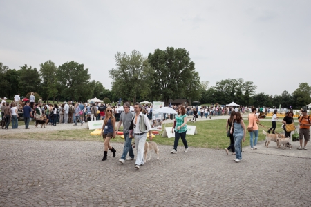 MILAN, ITALY - JUNE 8: People and dogs visit Quattrozampe in fiera exhibition, important event dedicated to dogs and their owners in Milan on JUNE 8, 2013.のeditorial素材