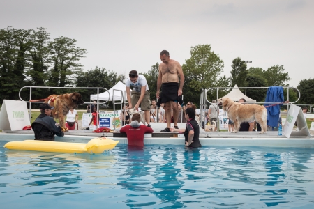 MILAN, ITALY - JUNE 8: People and dogs visit Quattrozampe in fiera exhibition, important event dedicated to dogs and their owners in Milan on JUNE 8, 2013.のeditorial素材