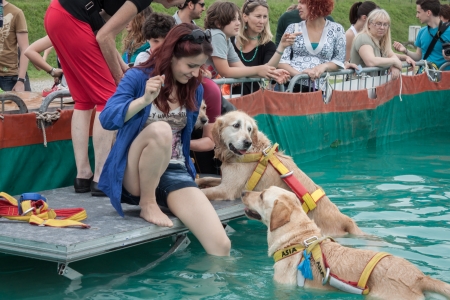MILAN, ITALY - JUNE 8: People and dogs visit Quattrozampe in fiera exhibition, important event dedicated to dogs and their owners in Milan on JUNE 8, 2013.のeditorial素材