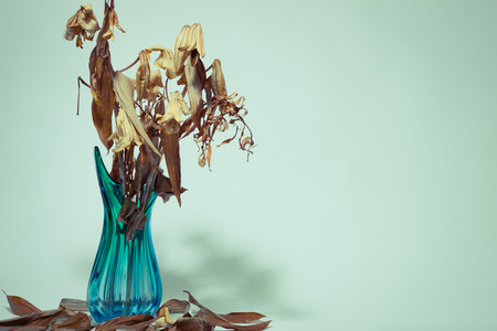 Dried flowers in a glass vaseの写真素材