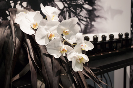MILAN, ITALY - MARCH 21: Flowers decorate a stand at Esxence, the art perfumery's event on MARCH 21, 2014 in Milan, Italyのeditorial素材