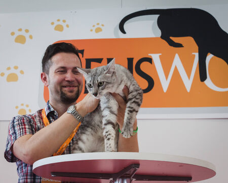 MILAN, ITALY - JUNE 7  Beautiful cat with its owner at Quattrozampeinfiera, event and activities dedicated to dogs, cats and their owner on JUNE 7, 2014 in Milan のeditorial素材
