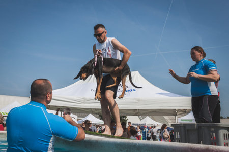 MILAN, ITALY - JUNE 7  Trainers take dog to the swimming pool at Quattrozampeinfiera, event and activities dedicated to dogs, cats and their owner on JUNE 7, 2014 in Milan のeditorial素材