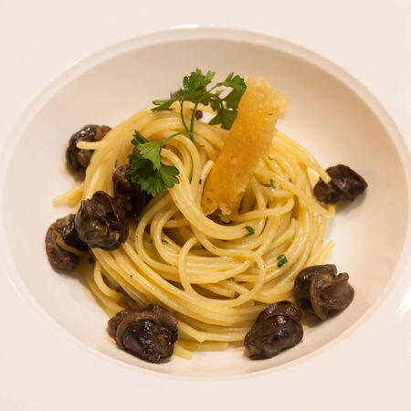 Spaghetti with snails and sauce in white dishの写真素材