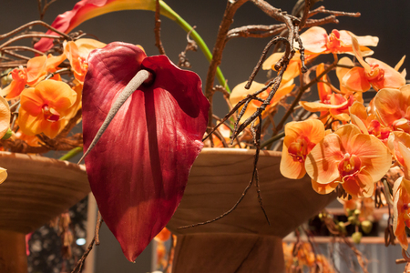 MILAN, ITALY - SEPTEMBER 13: Detail of flowers at HOMI, home international show and point of reference for all those in the sector of interior design on SEPTEMBER 13, 2014 in Milan.のeditorial素材