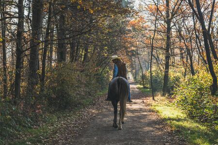 Pretty blonde girl riding her grey horse in the countrysideの写真素材