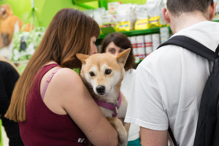 MILAN, ITALY - JUNE 12: Cute dog at Quattrozampeinfiera, event and activities dedicated to dogs, cats and their owners on JUNE 12, 2016 in Milan.のeditorial素材