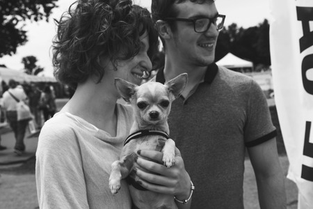 MILAN, ITALY - JUNE 12: Cute dog at Quattrozampeinfiera, event and activities dedicated to dogs, cats and their owners on JUNE 12, 2016 in Milan.のeditorial素材