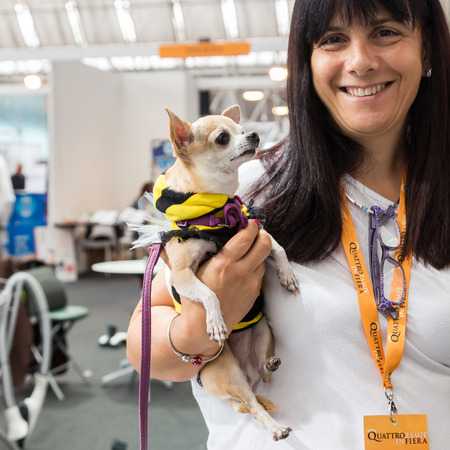 MILAN, ITALY - JUNE 12: Cute dog at Quattrozampeinfiera, event and activities dedicated to dogs, cats and their owners on JUNE 12, 2016 in Milan.のeditorial素材
