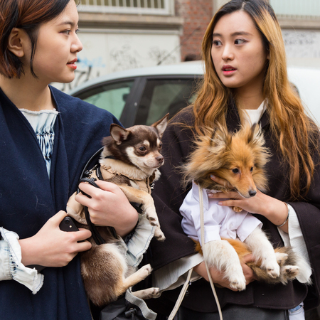 MILAN, ITALY - FEBRUARY 23: Fashionable women pose outside Fendi fashion show during Milan Women's Fashion Week on FEBRUARY 23, 2017 in Milan.のeditorial素材