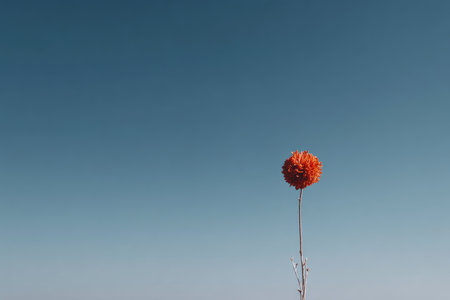 Lonely orange flower against a clear, gradient blue sky. Minimalist compositionの素材