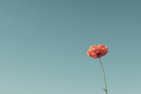 Single poppy in vibrant orange against a serene, light blue sky. Minimalist compositionの素材
