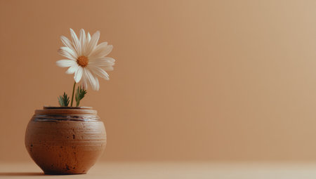 A single daisy in a small, rustic ceramic pot against a solid, warm-toned backdropの素材