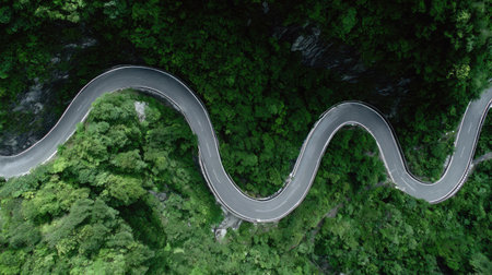 Aerial view of a winding road in the forest. Top viewの素材