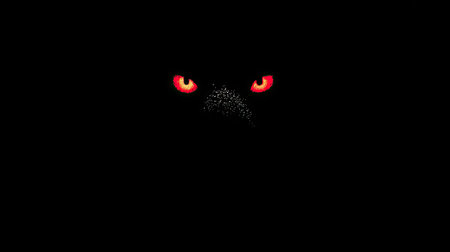 Halloween background. Cute black cat face with red eyes.の素材