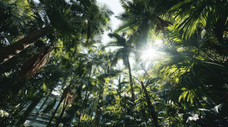 An upward perspective captures a dense canopy of palm trees, illuminated by bright sunlight. The image showcases various shades of green, with a play of light and shadow adding depth. This vibrant composition suggests a tropical setting, possibly ideal for environmental or travel-related content, with potential applications in advertising.の素材