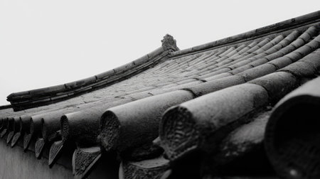 This black and white image displays a close-up of a traditional roof structure. The composition highlights the repeating pattern of the tiles and architectural elements. The monochrome tones create a sense of age and historical significance. Suitable for use in a variety of design and editorial projects.の素材