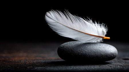 A single, white feather rests atop a smooth, dark stone, set against a stark black backdrop. The composition features a shallow depth of field, emphasizing the texture of the feather and the stone. The lighting is soft, creating subtle shadows. This image could be suitable for various commercial or artistic applications.の素材