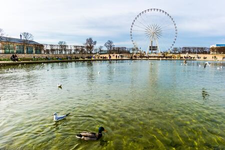 Tuileries garden pond and ferries wheelのeditorial素材
