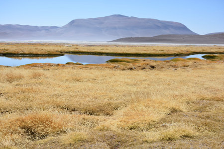 Amazing landscape in Atacama desert Chile