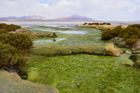 landscape in Atacama desert Chile