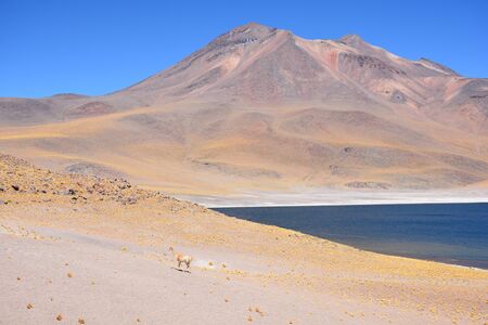 Landscape in Atacama desert Chileの写真素材