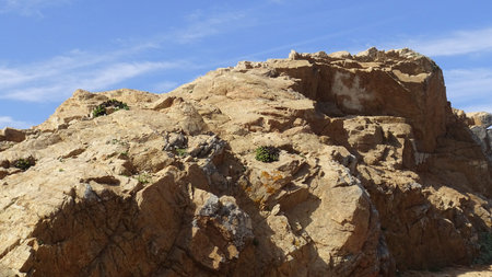 Landscape of rocky beach and nature