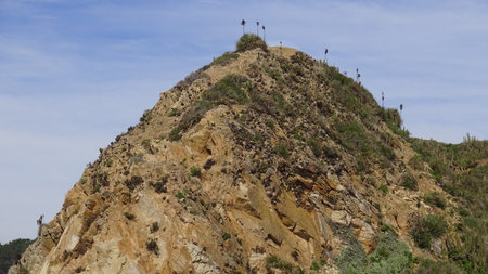 Landscape of rocky beach and natureの写真素材