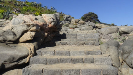 Landscape of rocky beach and nature