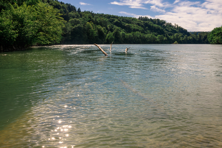 green switzerland landscape by the riverの写真素材