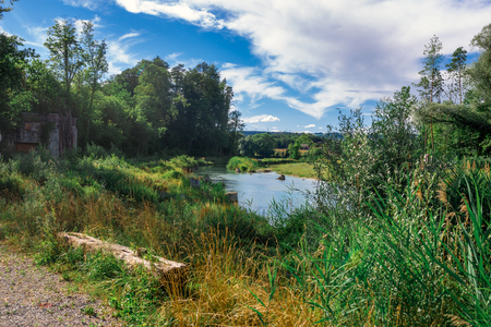 green switzerland landscape by the riverの写真素材