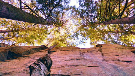 Vertical cliff POV, Dark Side climbing region, Regional District of Nanaimo, BCの写真素材